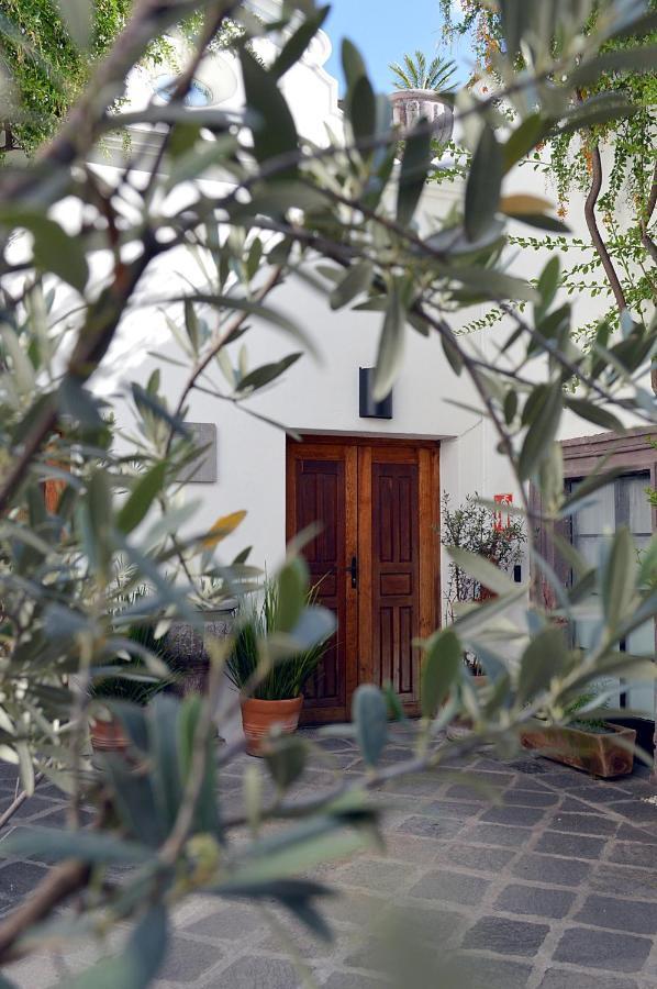Casa De Los Olivos San Miguel de Allende Buitenkant foto